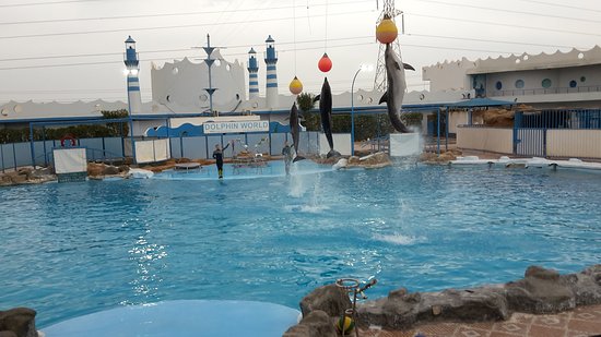 tour-img